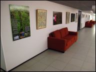1_aalto_ee_ore_e_installaatio_hakkyra_printti_2010.jpg